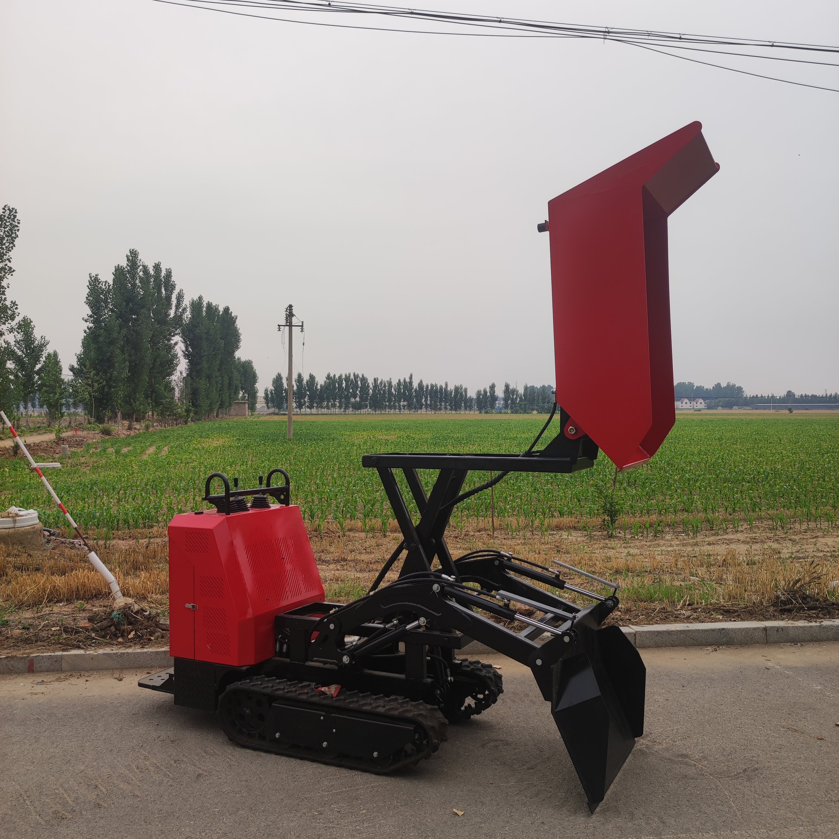 Mini Cargadora V1000