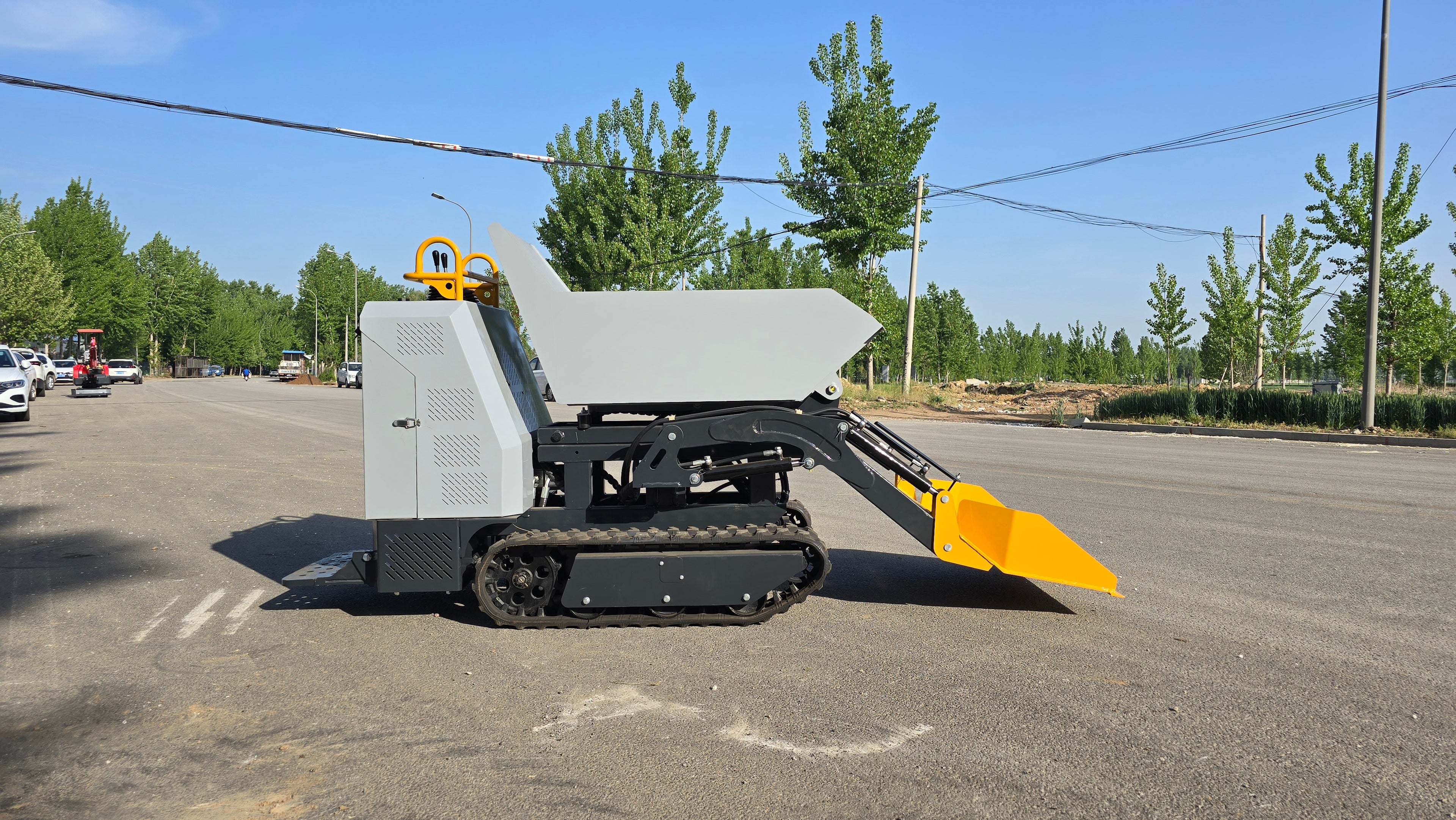 Mini Cargadora 1200