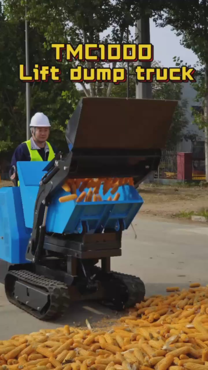 Mini Cargadora 1200